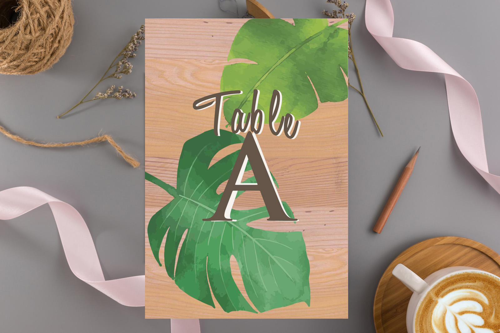 TN-Monstera01